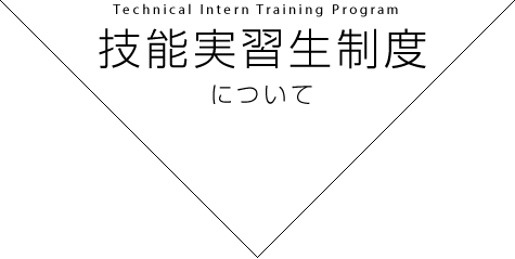 技能実習生制度について